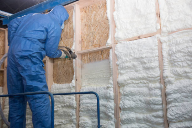 Best Wall Insulation Installation  in South Rockwood, MI